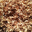 AZAHAR FLOR