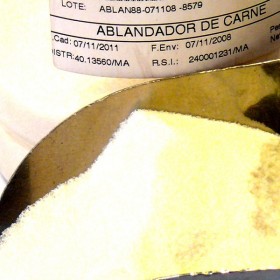 ABLANDADOR DE CARNE