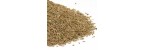 COMINO GRANO